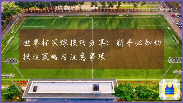 世界杯买球技巧分享：新手必知的投注策略与注意事项