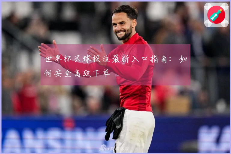 世界杯买球投注最新入口指南：如何安全高效下单