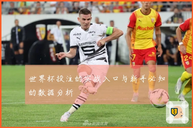 世界杯投注的实战入口与新手必知的数据分析