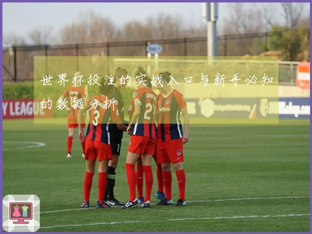 世界杯投注的实战入口与新手必知的数据分析
