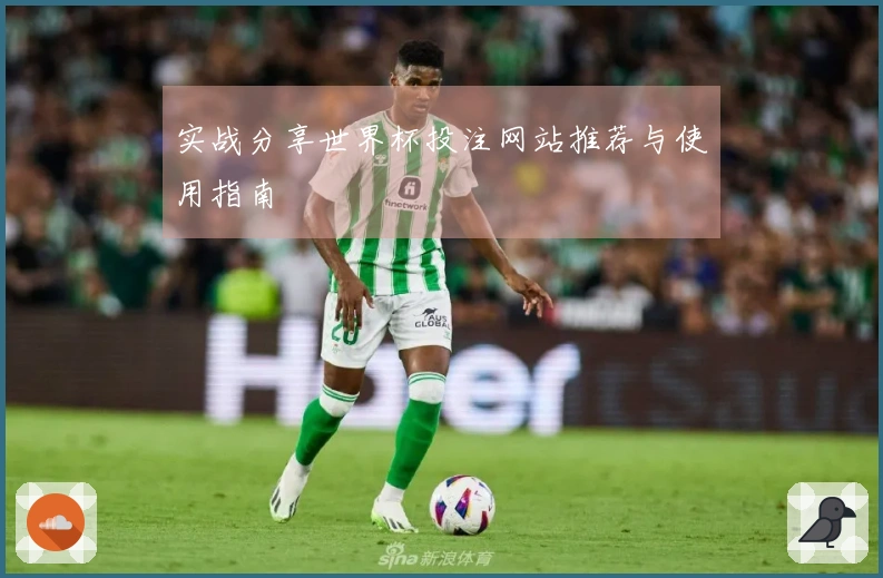 实战分享世界杯投注网站推荐与使用指南