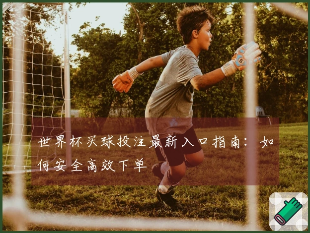 世界杯买球投注最新入口指南：如何安全高效下单