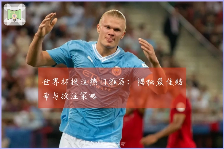 世界杯投注热门推荐：揭秘最佳赔率与投注策略