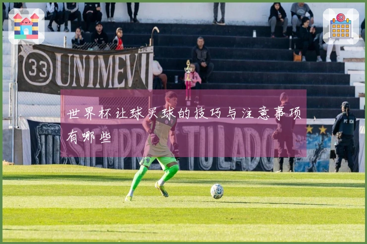 世界杯让球买球的技巧与注意事项有哪些