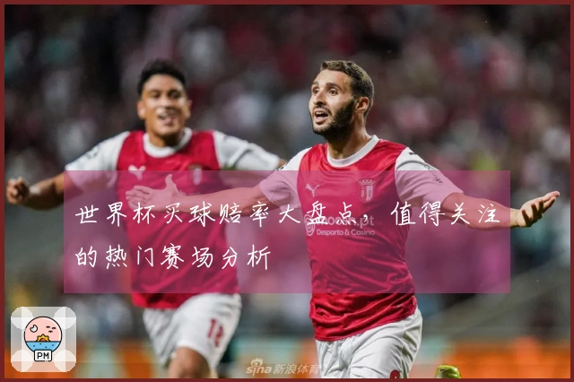 世界杯买球赔率大盘点，值得关注的热门赛场分析